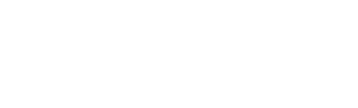 LifeView logo